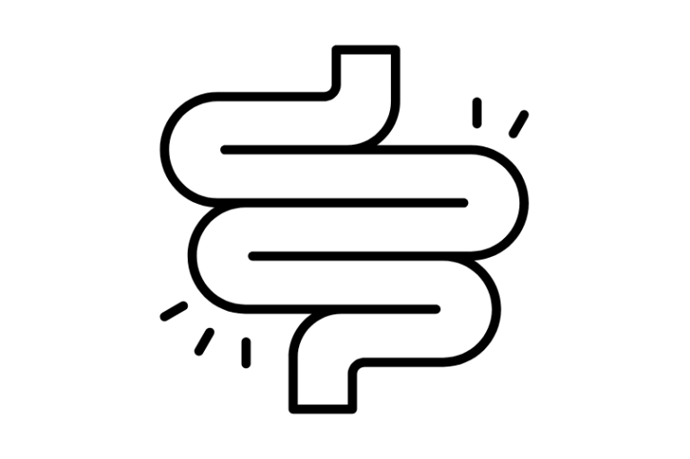 Stylized illustration of a human intestine in a twisting design.