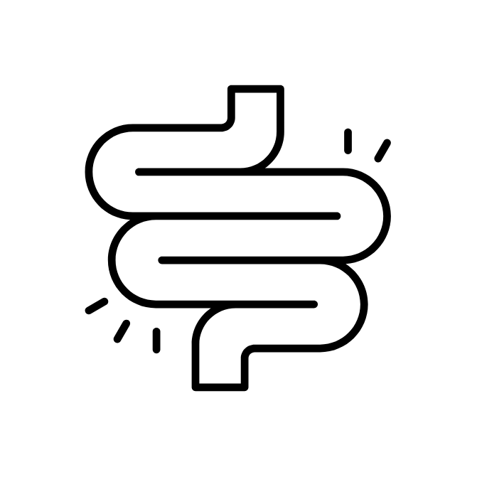 Stylised line drawing of a human intestine.